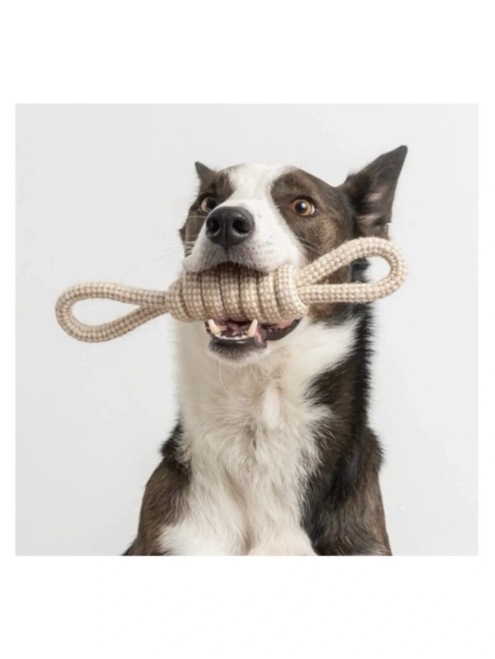 🆕 Dog Chew and Tug Knotted Natural Rope/Jute Bow Toy